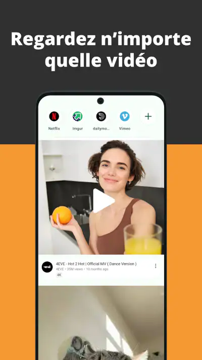 Navigateur vidéo screenshot 1