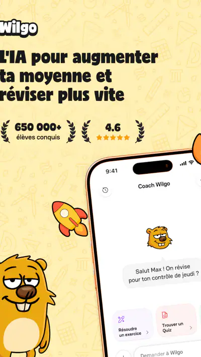 Wilgo, l'IA de révision n°1 screenshot 1