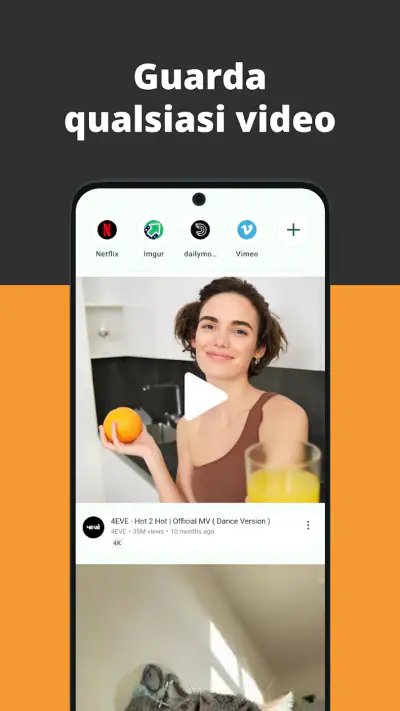 Browser video screenshot 1