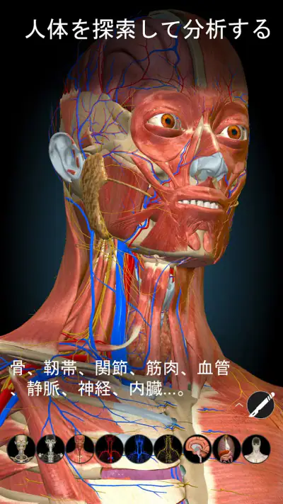 Anatomy Learning - 3D人体解剖図 screenshot 1