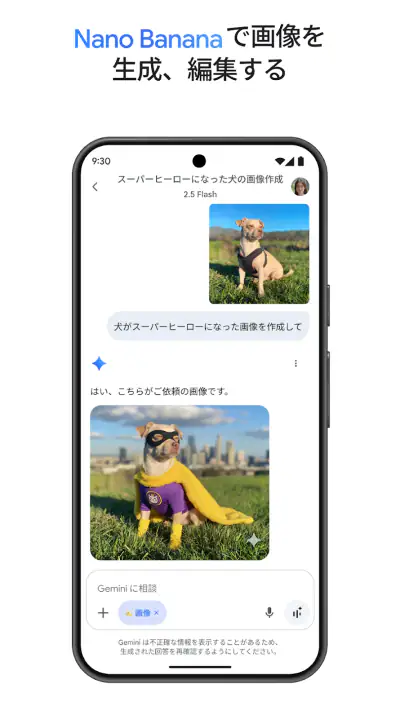 Google Gemini screenshot 1