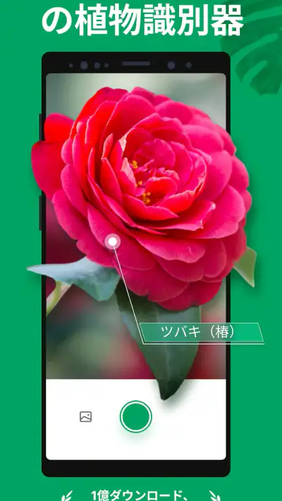 PictureThis：撮ったら 1秒でわかる 植物図鑑 screenshot 1