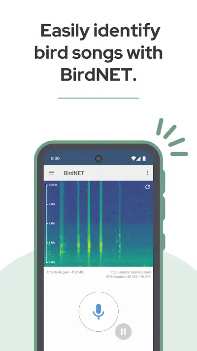 BirdNET screenshot 1