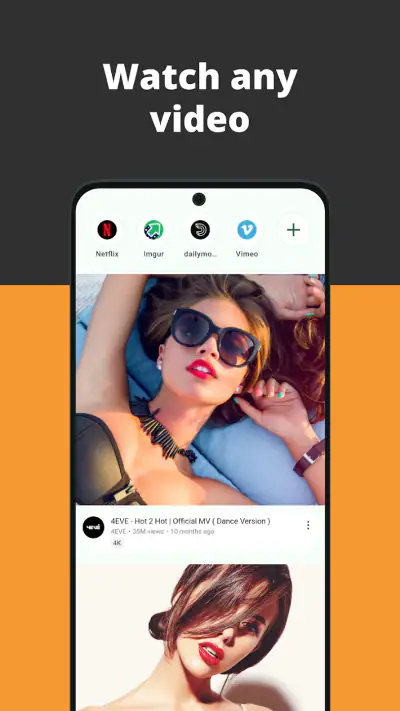 Video Browser screenshot 1