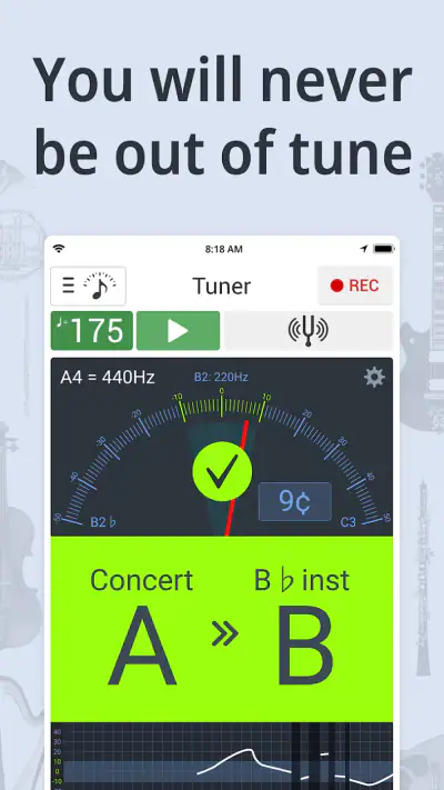 Stemapparaat en Metronoom screenshot 1