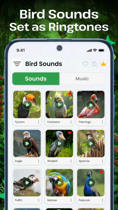 Vogelgeluiden screenshot 1