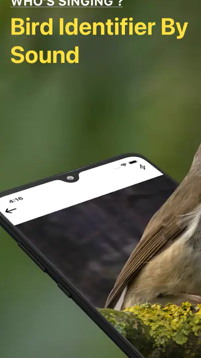 Vogelgeluiden Herkennen NL screenshot 1