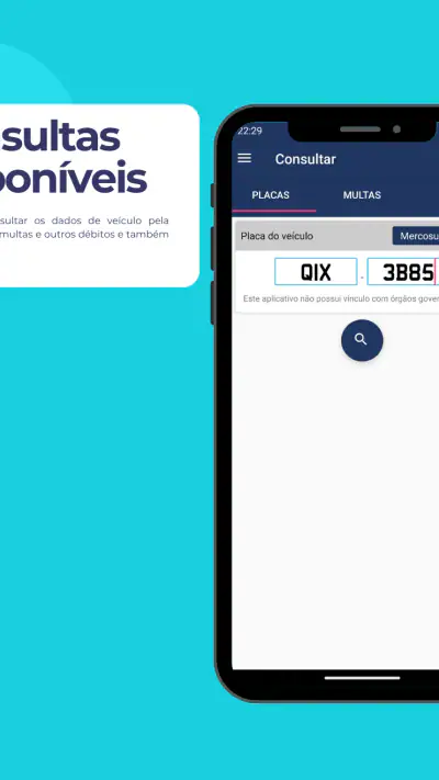 Consulta Placa Preço e Multas screenshot 1
