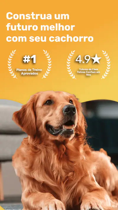 Dog Care: Adestramento e Raças screenshot 1