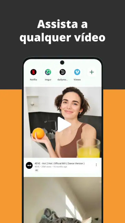 Navegador de vídeo screenshot 1