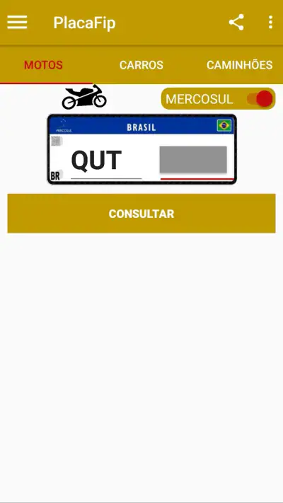 PlacaFip - Consulta placa screenshot 1