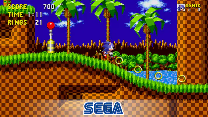 The Hedgehog 2 screenshot 1